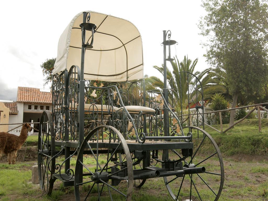La Quinta Colorada Hotel Lasso Eksteriør billede