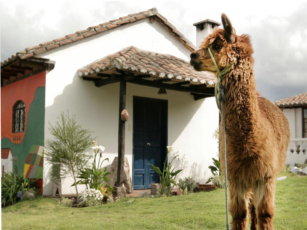 La Quinta Colorada Hotel Lasso Eksteriør billede