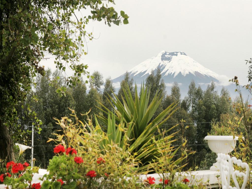 La Quinta Colorada Hotel Lasso Eksteriør billede